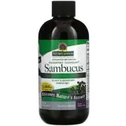 Nature's Answer, Sambucus sans alcool, 2500mg, 240ml