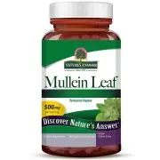 Nature's Answer, Feuille de molène, 500mg, 90 gélules